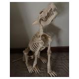 Lifelike Canine Skeleton