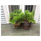 Ceramic Garden Pots