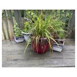 Plastic Plant Pots