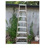 Werner 8' Step Ladder