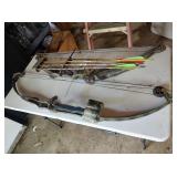 2 Compound Bows