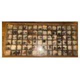 Boxed Rock and Mineral Specimen Collection