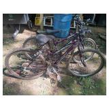 Rand & Quest Women's Mountain Bicycles