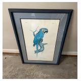 Richard Evans Younger Macaw Print 22ï¿½x34ï¿½