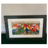 Framed Parrot Print Art 18ï¿½x12ï¿½
