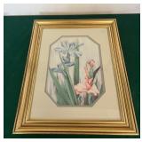 Framed Botanical Artwork by Carmel Foret 13.5ï¿½x16.