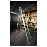 Davidson Aluminum Step Ladder