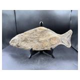 Large Fish Fossil Specimen on Stand