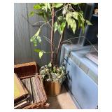 Artificial Tree w/ Gold Planter, ~75" Tall
