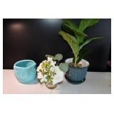Vase Lot