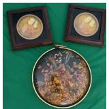 Pressed Butterfly and Dried Floral Wall Art
