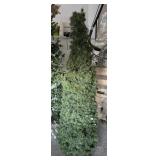 Artificial Christmas Tree w/ Lights, ~69' Tall