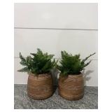 Faux Ferns in Pots 10