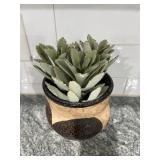 Handcrafted Ceramic Pot with Plant 9.5"