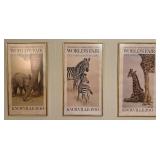 1982 Knoxville Zoo Posters Framed