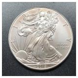 2012 EAGLE - SILVER