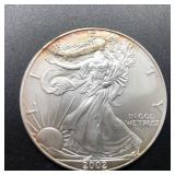 2002 SILVER EAGLE