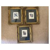 Trio of Gilt Framed Fruit Art