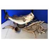 Large Mouth Bass, Deer Antlers & Highland Horn