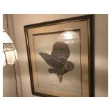 Guy Coheleach Pencil Signed Spotted Owl Print