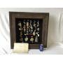 Rare Shadow Box of Fossils & Artifacts
