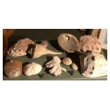 (13) pcs large seashells & shark teeth