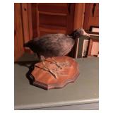 Mounted Red Eye Bird