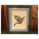 Screech Owl print signed Ray Harm