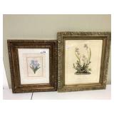 2pcs Floral still live prints in frames