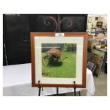 Framed Photograph of Floral Outdoor Arrangement