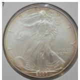 2000 SILVER EAGLE GEM