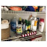 Shelf full of misc items weed feed, WD-40 ++