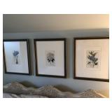 3pcs Framed floral prints signed framed w/glass