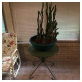 MCM Umbrella table with cacti