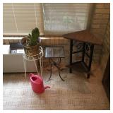 (5) 3x plant stands, cactus, water can