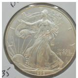 1996 SILVER EAGLE  GEM KEY DATE