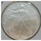 2006 SILVER EAGLE  GEM