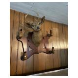 Deer Mount and Gun Rack