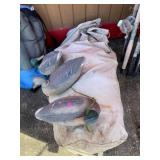 Duck Decoys