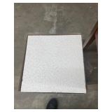 2x2 New Case of Ceiling Tiles