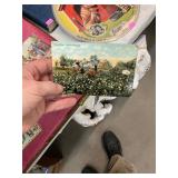 Cotton Picking Americana Postcard