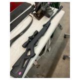 Gamo Pellet Gun