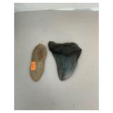 Megalodon Shark Tooth and Arrowhead