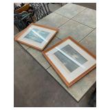 2 Framed Duck Prints