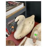 Swan
