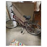 Wildwood Deluxe Bike