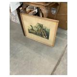 Audubon Duck Framed Print