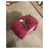 Horse Blanket and Harness