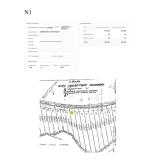 Northumberland County Tax Delinquent Real Estate Auction