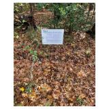 Olgar F. & Pauline H. Wooldridge